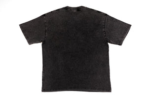 Devine Dogs Washed Tee
